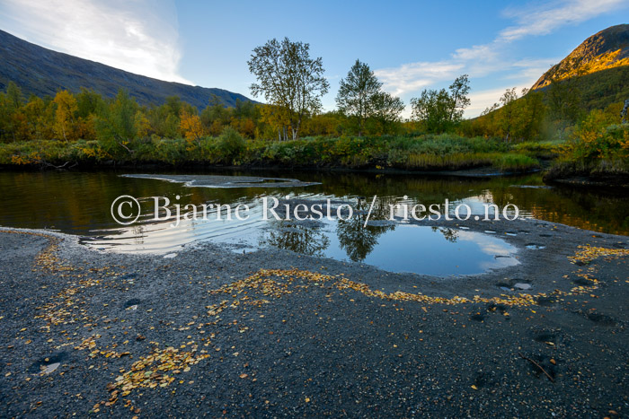 09100532-HDR