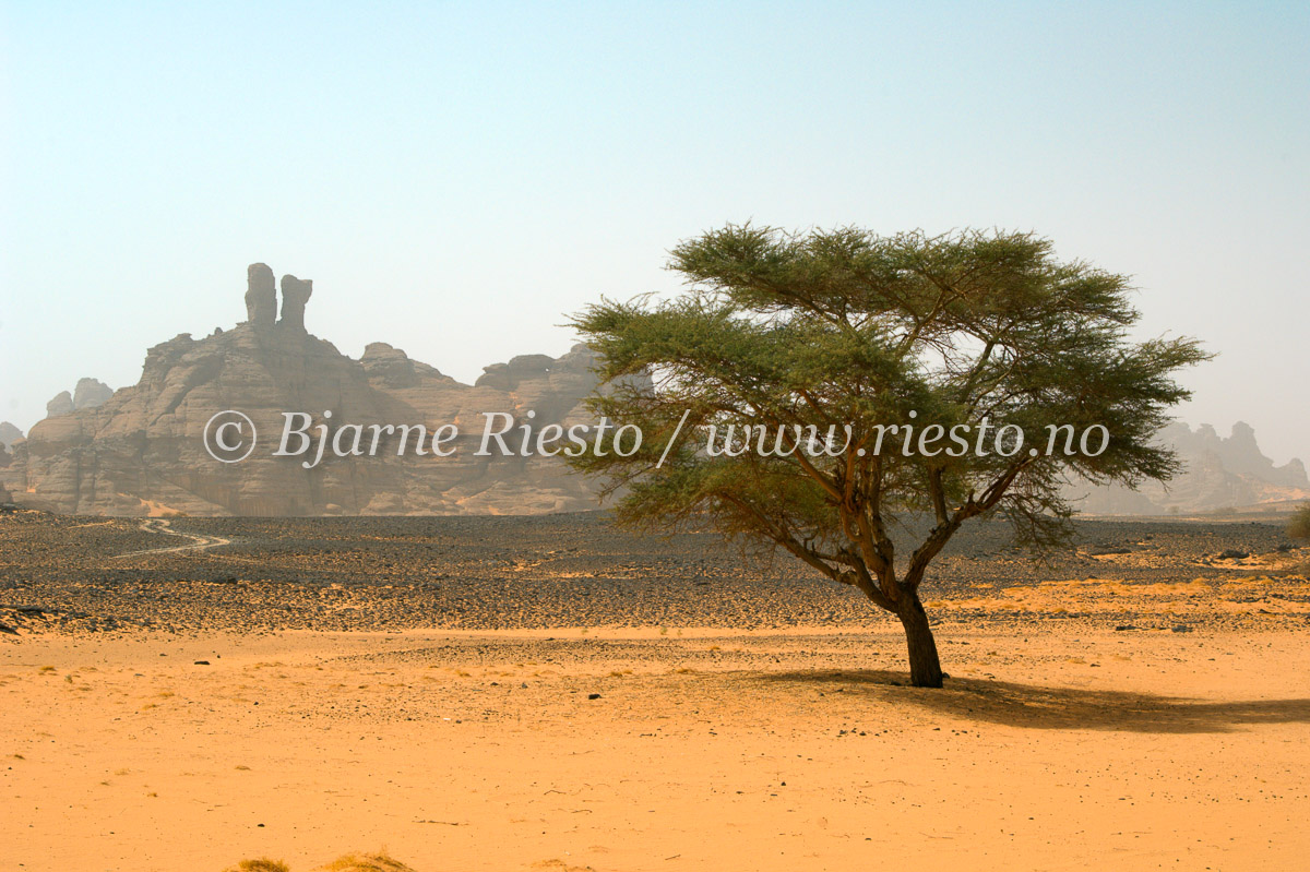 Acacus mountains