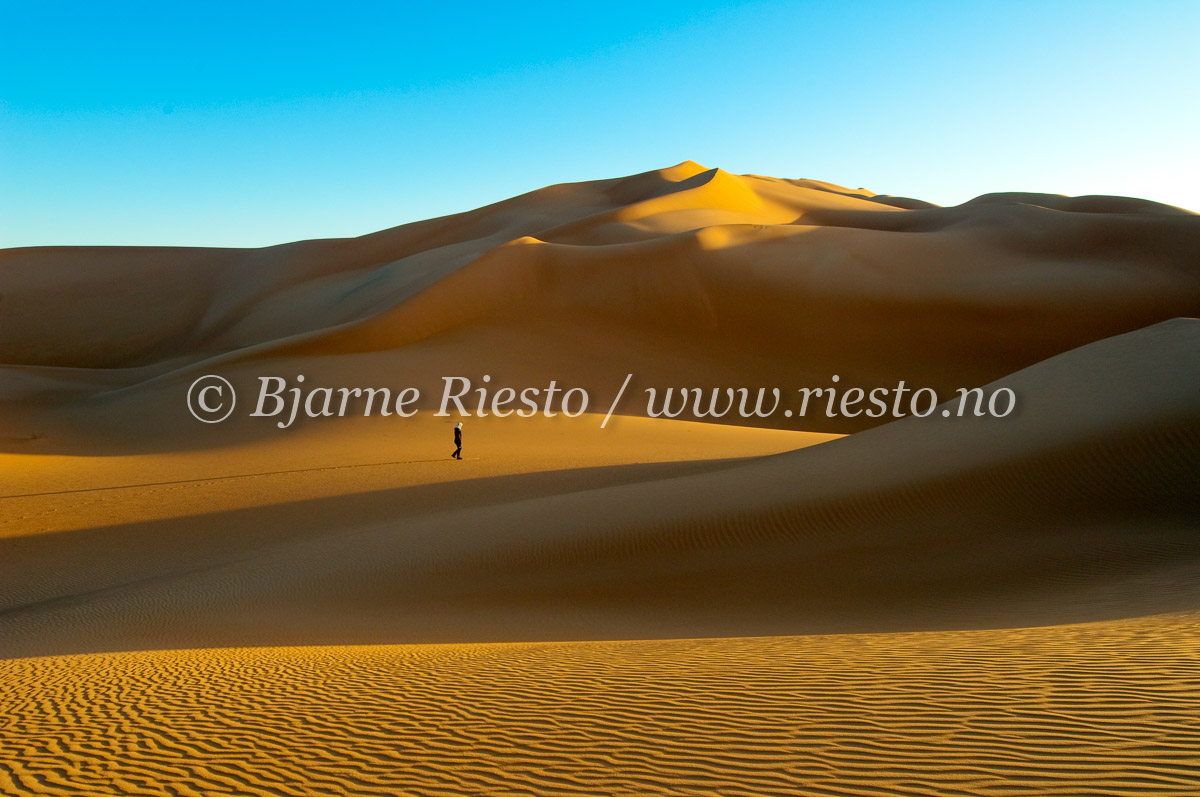 Sunset in the dunes