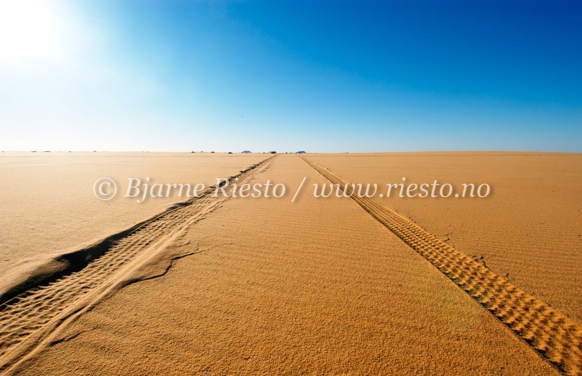 Tracks in the sand