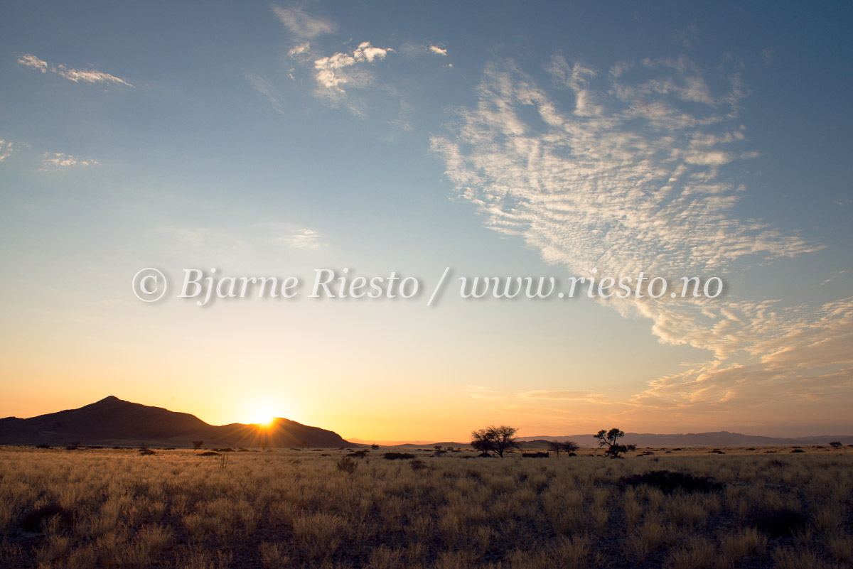 Sunrise in the desert.