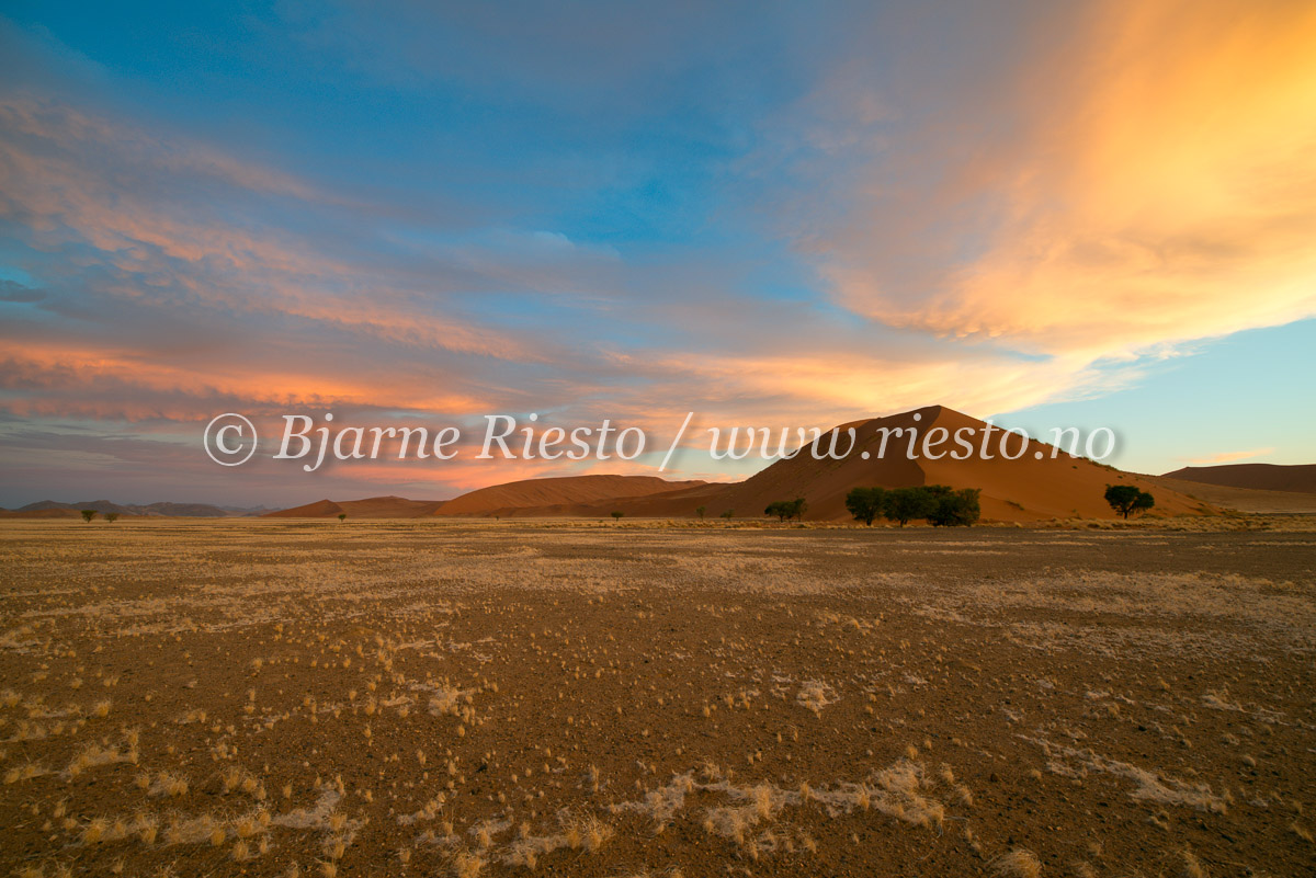 Desert sunset