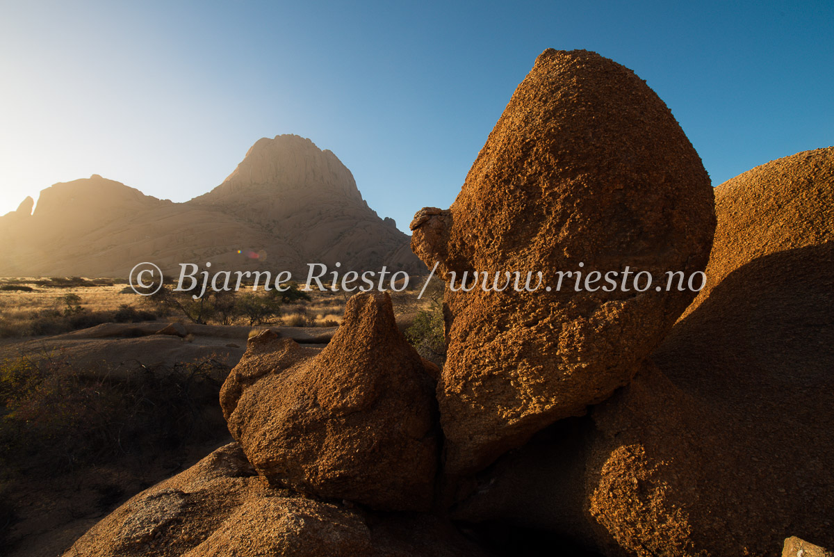 Morning in the desert.