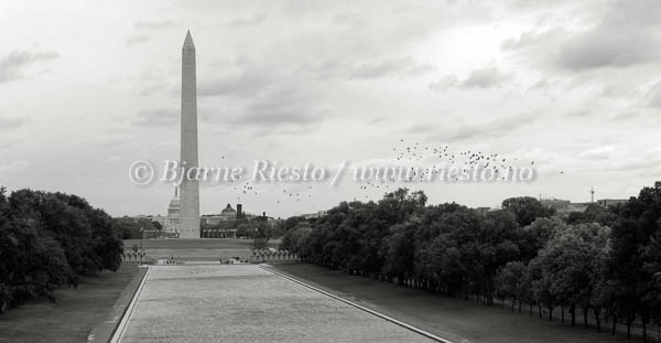 The pond. View from Lincoln memorial, Washington DC / 