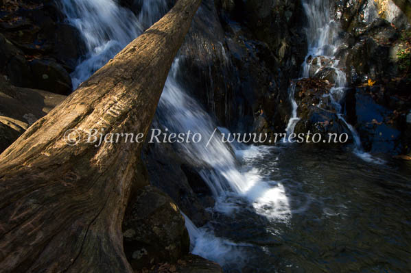 Waterfall, Shenandoah National Park / Virginia USA