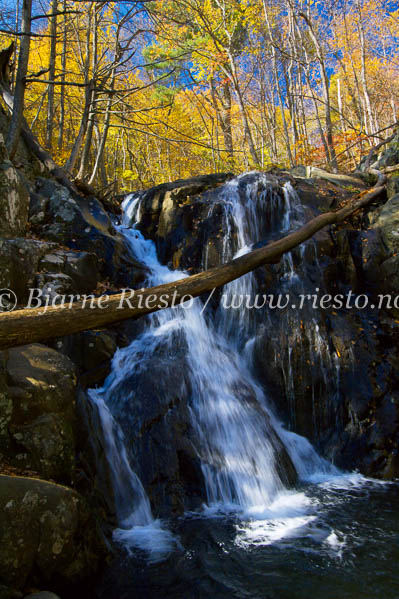 Waterfall, Shenandoah National Park / Virginia USA