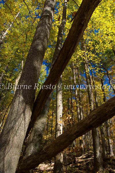 Shenandoah national park / 