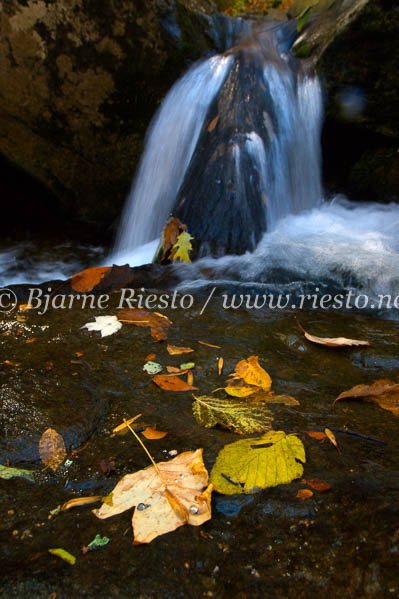 Waterfall, Shenandoah National Park / Virginia USA