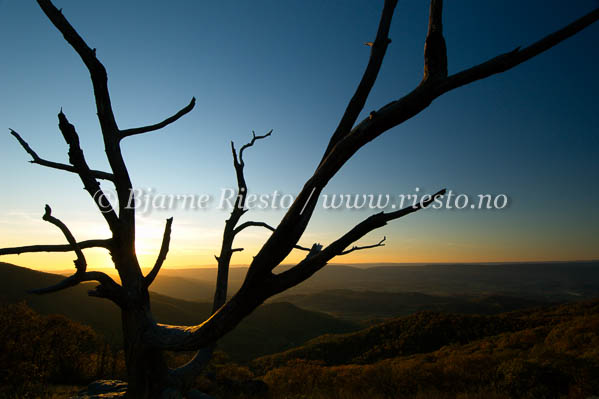 Sunset in Shenandoah National Park Virginia USA / 