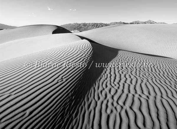 Dune / Mesquite flat dunes. Death Valley, California