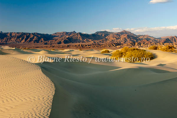 Sunset / Mesquite flat dunes. Death Valley, California