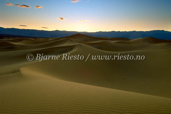 Dunes after sunset / Mesquite flat dunes. Death Valley, California