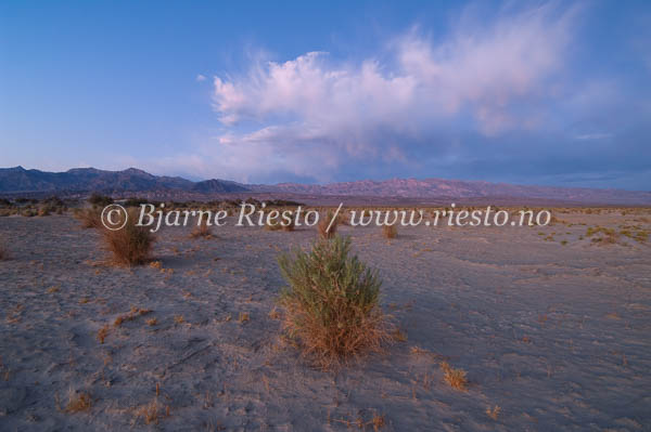 Desert night / Death valley, California