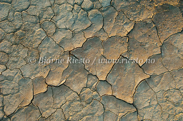 Dry surface / Death Valley national park, California