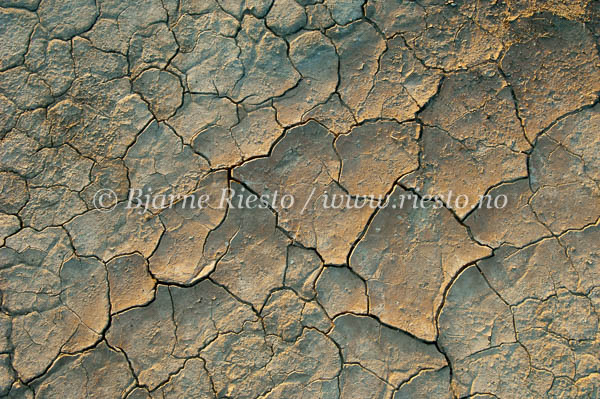 Dry surface / Death Valley national park, California