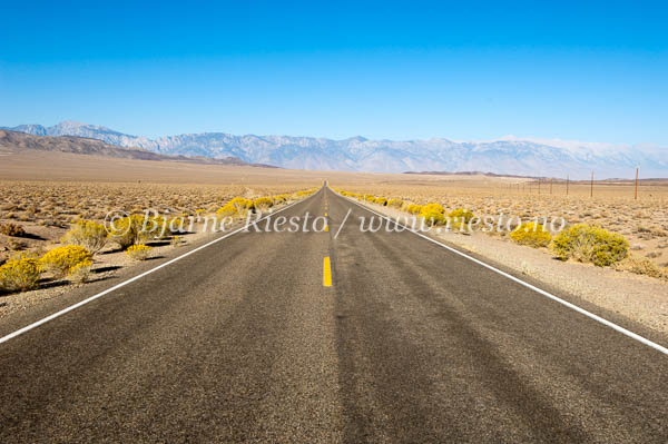 Desert highway. California / 