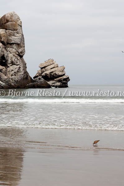 Morro bay / 