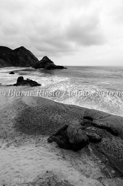  / Pfeiffer beach. California