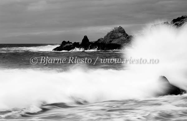 Point Lobos. California / Point Lobos. California