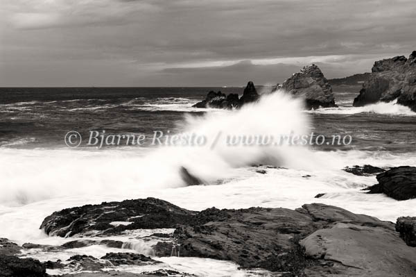  / Point Lobos. California