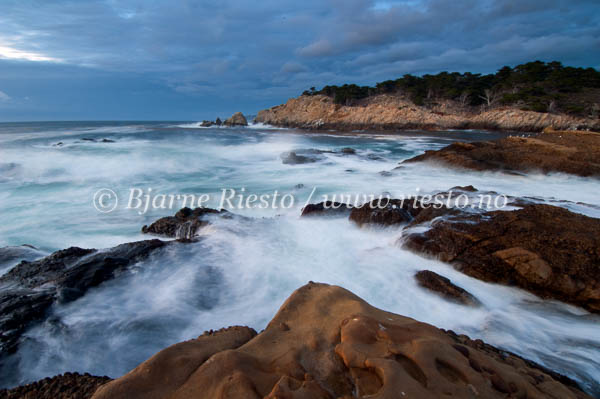  / Point Lobos. California