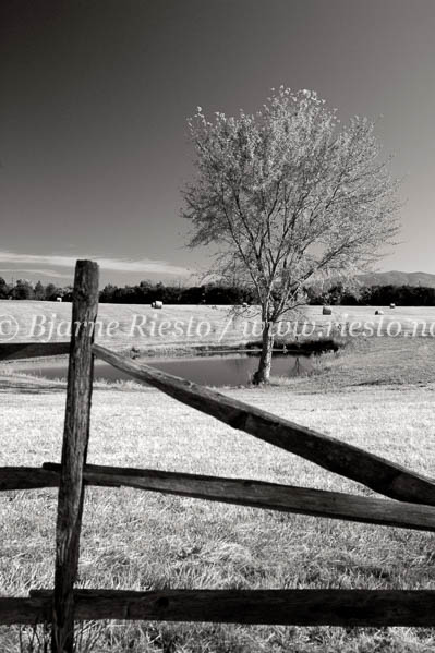Farmland. Shenandoah Valley. Virginia USA / 