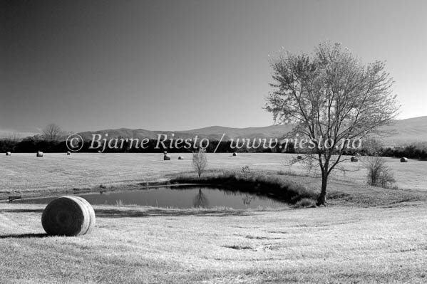 Farmland. Shenandoah Valley. Virginia USA / 