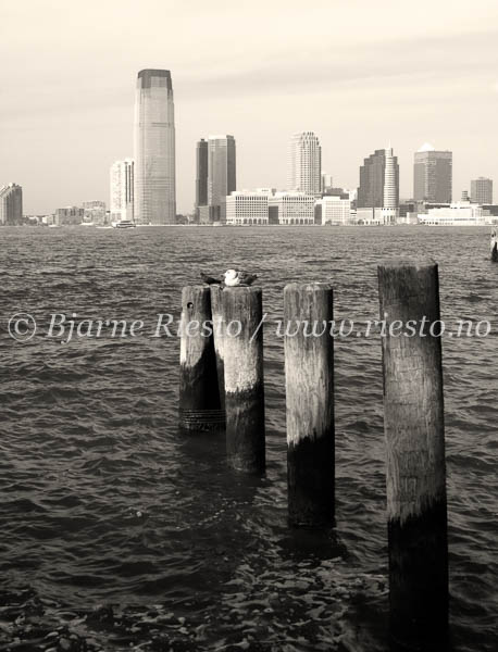 New York / Hudson River. New York
View towards New Jersey