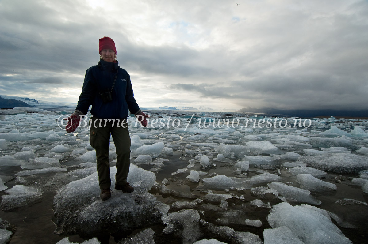 Jökullsarlón, iceland