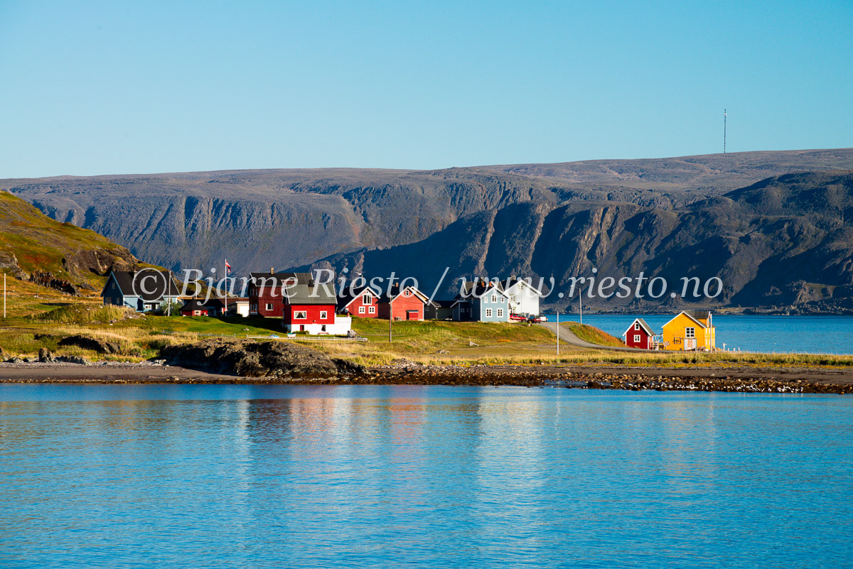 Veines. Berlevåg Finnmark.